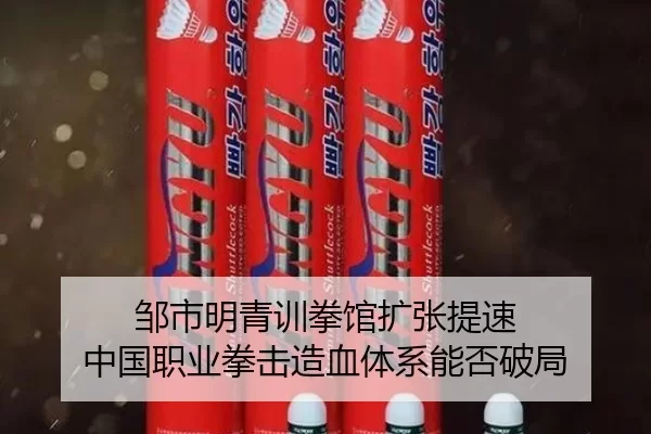 邹市明青训拳馆扩张提速 中国职业拳击造血体系能否破局