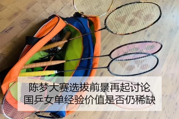 陈梦大赛选拔前景再起讨论 国乒女单经验价值是否仍稀缺